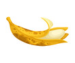 Rotten Banana with Stinky Rot Covered the Skin Vector Illustration