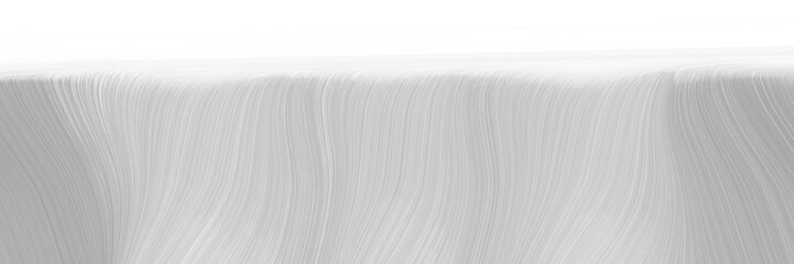 Poster - decorative designed horizontal header with silver, white smoke and dark gray colors. dynamic curved lines with fluid flowing waves and curves