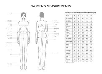 Wall Mural - Womens measurements fashion terminology Illustration for lady size chart.