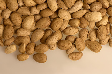 lots of nuts and copy space. inshell almonds