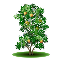 Wall Mural - detached tree passionflower with green leaves and fruits