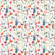 Beautiful Vector Floral Summer Seamless Pattern With Watercolor Hand Drawn Field Wild Flowers. Stock Illustration.