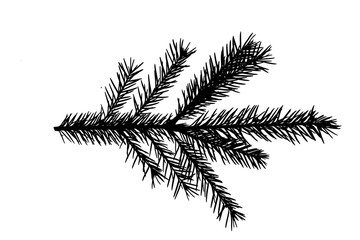 Poster -  tree branch isolated on white