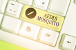 Word writing text Aedes Mosquito. Business photo showcasing the yellow fever mosquito that can spread dengue fever