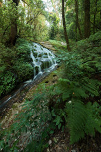 Kew Mae Pan, Waterfall In Hill Evergreen Forest Of Doi Inthanon, Chiang Mai, Thailand