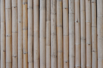  Dry brown bamboo pattern background. Dry bamboo background.