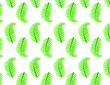 © Anastasia - Vector pattern with leaf of fern on the white background