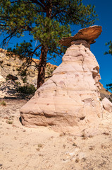 Poster - Red Rock Hoodoo Formation New Mexico