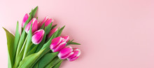 Pink Tulip Flower On Blue Wood Table Background With Copy Space For Text. Love, International Women Day, Mother Day And Happy Valentine Day Concept