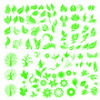 © Chakraborty - Vector plant and flowers graphic set