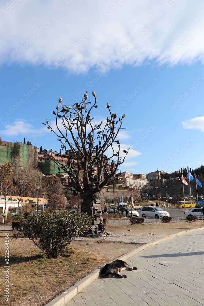 Drzewo Życia, Drzewo Życzeń, Tbilisi w Gruzji - obrazy, fototapety, plakaty 