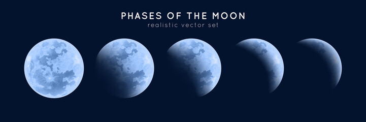 realistic phases of the moon. vector elements lunar collection. moonlight