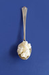 Kefir grains in a spoon close up