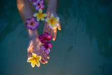 Woman Hands Holding Colorful Plumeria Flower In Water