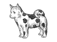Dog Puppy Animal Sketch Engraving Vector Illustration. T-shirt Apparel Print Design. Scratch Board Imitation. Black And White Hand Drawn Image.