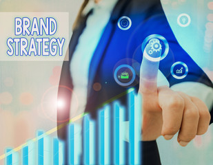 Fototapete - Text sign showing Brand Strategy. Business photo text Longterm plan for the development of a successful brand