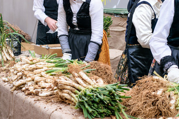 Wall Mural - Holiday of spring onion. Hands of women preparing spring onion for cooking and eating.