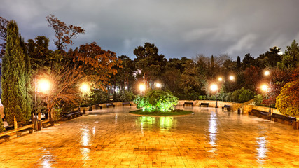 Wall Mural - scenic park with in city landscape at night against wet weather background. Street urban view of uptown park at baku city in azerbaijan