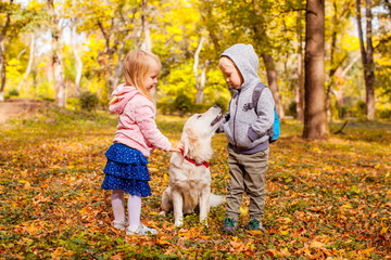lovely brother and sister playing with pet dog in autumn forest