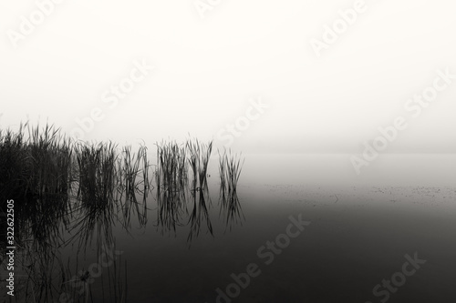 Cuadros en Lienzo Landscape of a dam with reeds in still water on a foggy morning