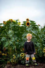Toddler Boy 2-3 Years Old Stands In Front Of A Sunflower Field Outside