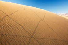 Lizard Trails On The Mesquite Flat Sand Dunes In Death Valley Which Is The Lowest, Hottest, Driest Place In The USA, With An Average Annual Rainfall Of Around 2 Inches, Some Years It Does Not
