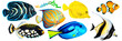 Set of tropical reef fish clownfish, moorish idol (zanclus), Emperor angelfish, blue-ringed angelfish, blue tang, yellow tang (zebrasoma) and clown triggerfish. Hand drawn watercolor.