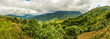 Blue mountains of Jamaica coffee growth place