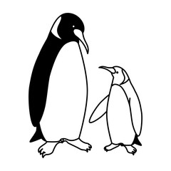 Poster - emperor penguins couple on white background