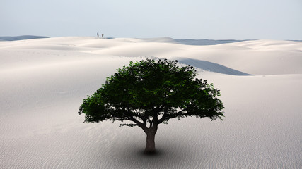 Surrealism. Green tree in white desert. Two men on a horizon