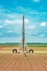 Wall Mural - Pivot irrigation system in cultivated soybean and corn field