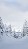 Fototapeta Na ścianę - Yellowstone Mountain Landscape in Winter