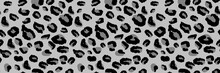 Leopard Seamless Pattern. Animal Pattern In Gray And Black Color.