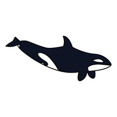 Canvas Print - killer whale on a white background