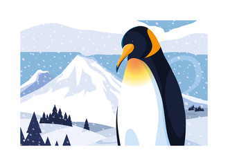 Sticker - penguin at the north pole, arctic landscape