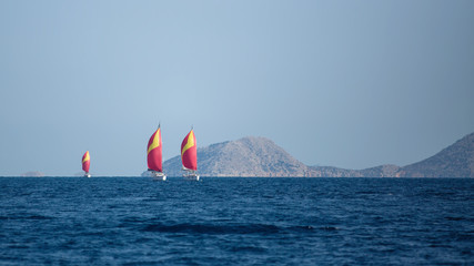 Wall Mural - Sailing yacht Regatta at the Aegean Sea, Greece.