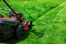 Lawn Mower Cutting Green Grass In Backyard, Mowing Lawn