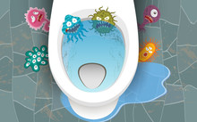 Disease In The Dirty Toilet	