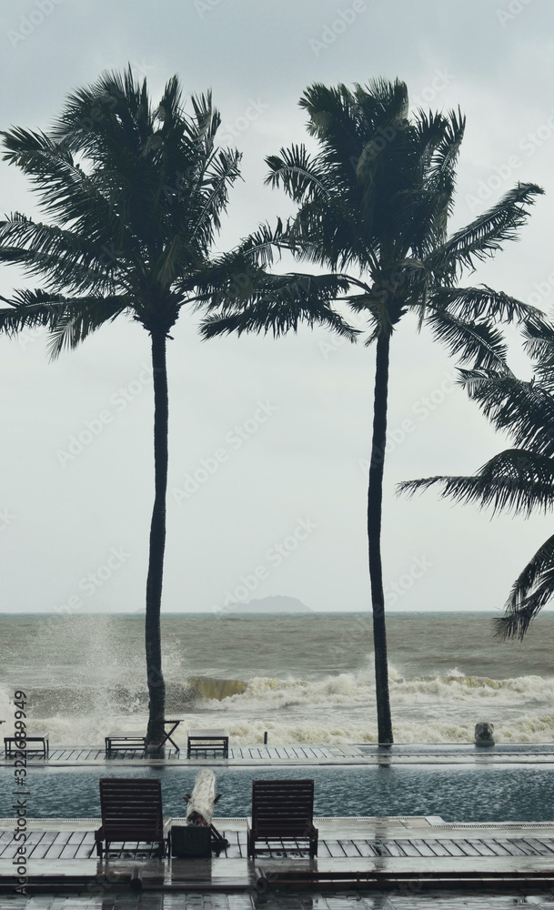 Palm trees are swaying in a tropical storm. Waves from the ocean are ...