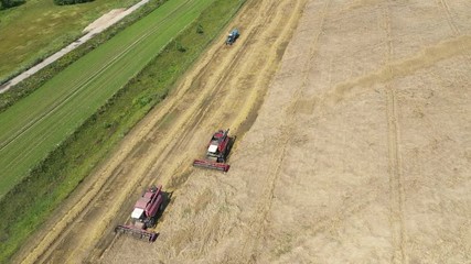 Wall Mural - Aerial: Two working harvesting combines in the summer field of wheat cereals. Two red harvesters working in the field. Combine harvester agricultural machine collecting golden ripe wheat on the field.