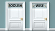 Foolish and wise as a choice - pictured as words Foolish, wise on doors to show that Foolish and wise are opposite options while making decision, 3d illustration