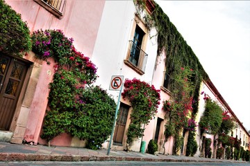 Poster - Downtown Queretaro 