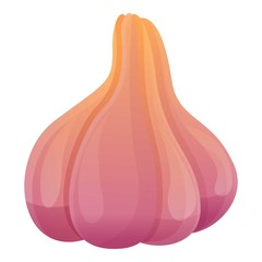 Poster - Raw whole garlic icon. Cartoon of raw whole garlic vector icon for web design isolated on white background
