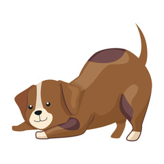 cute dog animal isolated icon vector illustration design