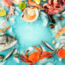 Fish And Seafood Square Frame With A Place For Text On A Blue Background. Sea Bream. Shrimps, Crab, Sardines, Squid, Mussels, Octopus And Scallop, Shot From The Top