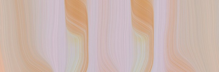 Poster - dynamic horizontal header with silver, dark salmon and thistle colors. fluid curved flowing waves and curves