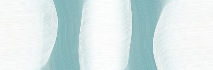 Poster - flowing horizontal header with dark gray, white smoke and pastel blue colors. fluid curved lines with dynamic flowing waves and curves