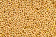 texture of lentil grains closeup