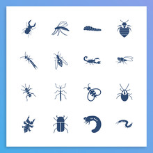 Insects Icon Set And Stag Beetle With Bedbug, Stickbug And Mite. Sting Related Insects Icon Vector For Web UI Logo Design.