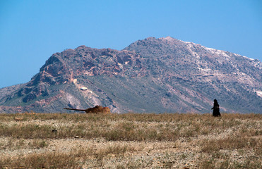 Socotra